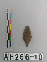 藏品(帶鋌打製石鏃)的圖片